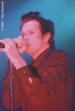 photo of Scott from Stone Temple Pilots copyright Alice Barkwell
